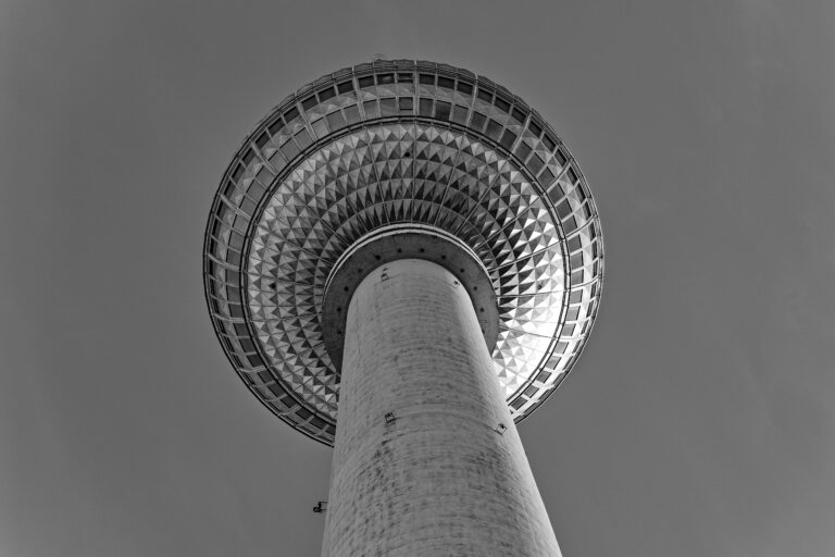 DC-S9 · f/5 · 1/320sec · ISO-100 · 105mm · 2025-01-13 11:15:17